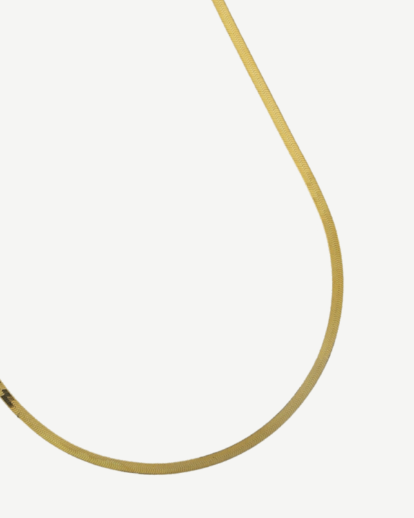 Genovesa Slim Necklace - Image 3